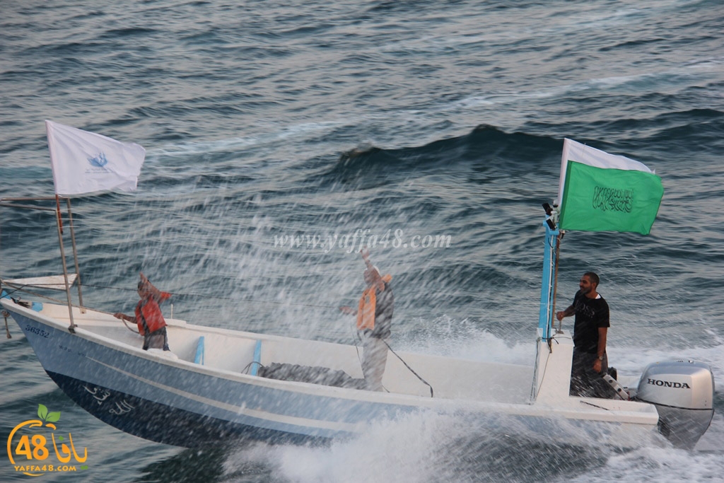 iste3rad sayaden yaffa (36).JPG